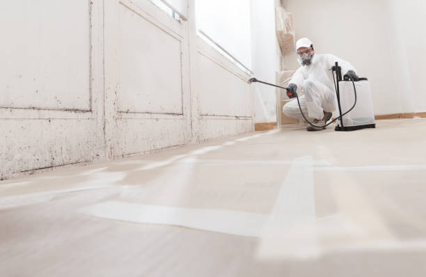 24/7 Emergency Mold Remediation experts in North Bonneville, WA