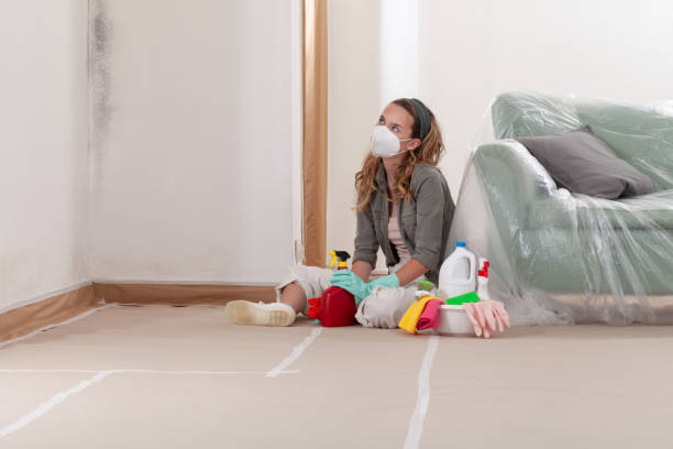 Reliable Mold Remediation contractor in North Bonneville, WA by 24 Hour Mold Removal