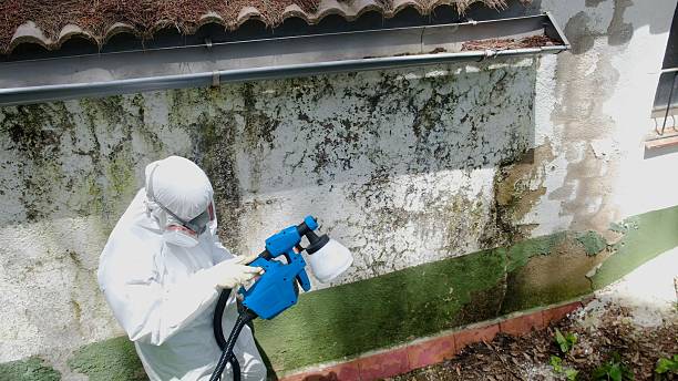 Top rated local Mold Remediation specialists in North Bonneville, WA